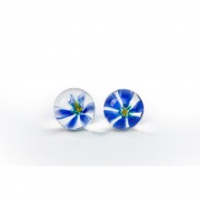 Вагинальные стеклянные шарики «CyberGlass Ben Wa Balls от Topco Sales, цвет синий, TS1003052, диаметр 2.5 см.