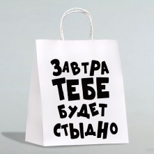 Подарочный пакет «Завтра тебе будет стыдно», арт. 4836674, цвет белый, длина 24 см.