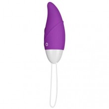 Фиолетовое виброяйцо с пультом ДУ «IJOY Remote Control Egg», Lovetoy LV1562 purple, бренд Биоритм, длина 8.1 см., со скидкой