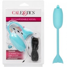 Тренажер Кегеля «Rechargeable kegel teaser», California Exotic Novelties SE-1328-12-2, бренд CalExotics, цвет голубой, длина 7.5 см.