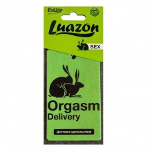 Ароматизатор в авто «Orgasm» с ароматом мужского парфюма, цвет зеленый, Сима-Ленд 4901330, из материала картон, со скидкой
