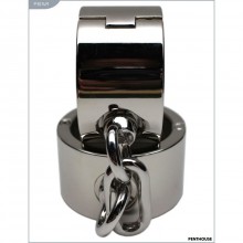 Цельные металлические наручники, цвет серебристый, Penthouse P3014M, диаметр 5.4 см., со скидкой