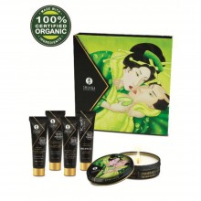 Набор массажных масел «Geisha's Secret», экзотический зеленый чай, Shunga 8211 SG, 30 мл.