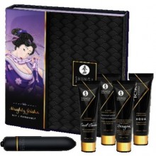 Набор «Naughty Geisha» из пяти предметов для интимного массажа и игр, Shunga 8269 SG, 7 мл., со скидкой